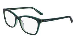 Armazon Calvin Klein CK19529 (361) 54