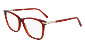 Armazon Ferragamo SF3013 (616) 55